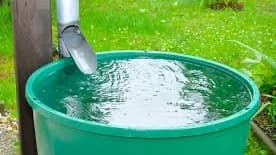 Filtre plante integration paysagere