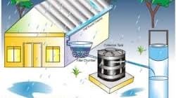 Bassin filtre plante particulier