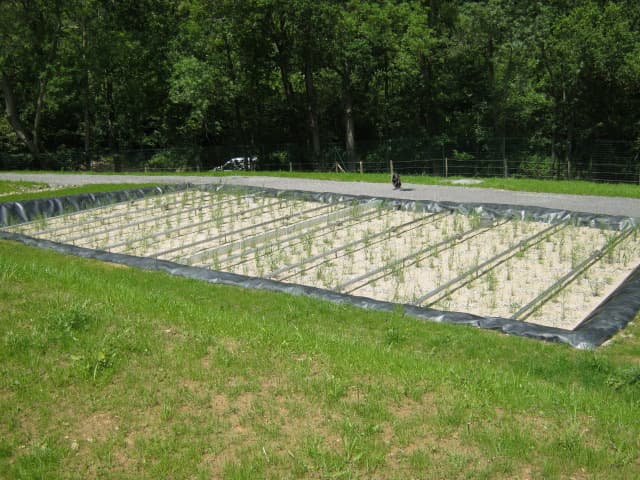 Installation filtre planté en cours